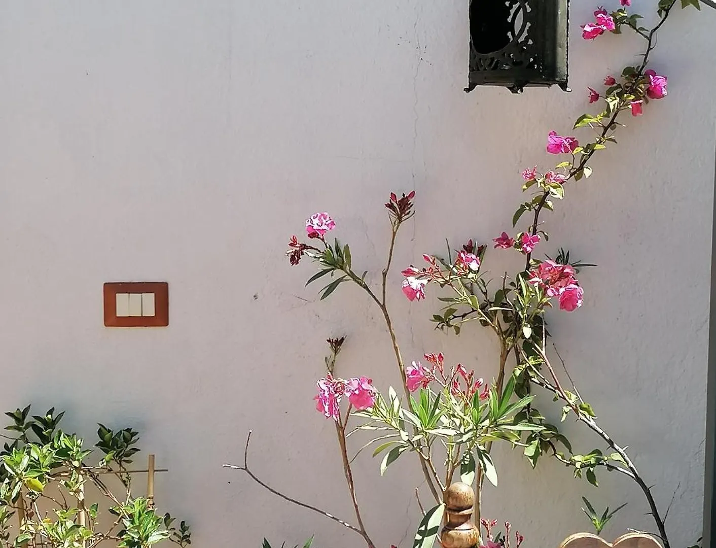 ベッド・アンド・ブレックファスト B&B Casacori オロゼーイ イタリア